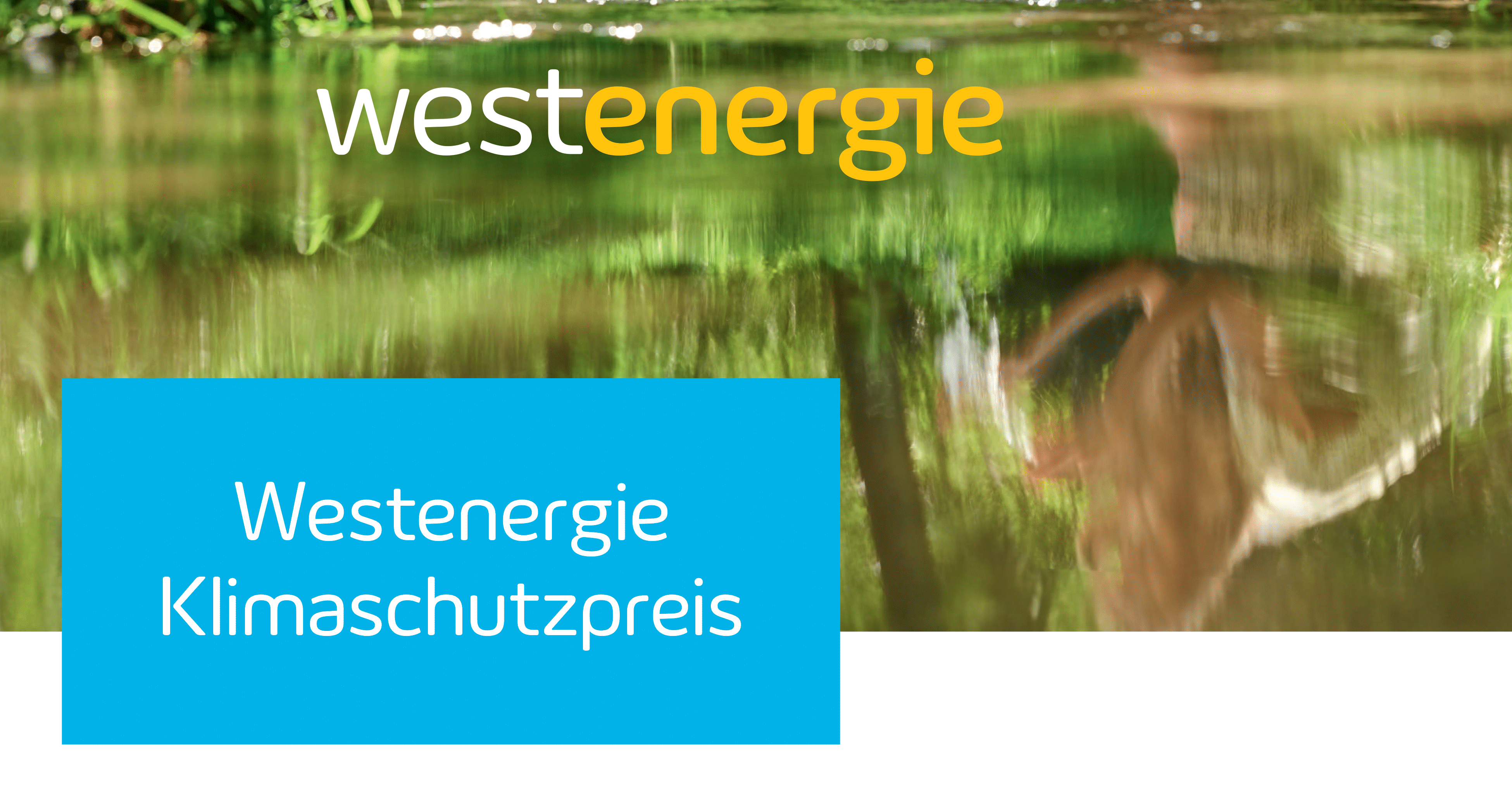 Klimaschutzpreis 2024 von Stadt Erwitte und Westenergie: Jetzt bewerben!