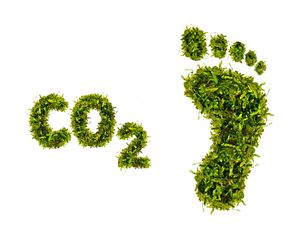 CO2 Fußabdruck, Foto: Adobe Stock