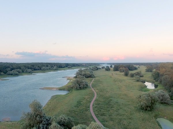 Luftbild Aken an der Elbe Elblandschaft