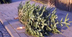 ©Michael Rogner - stock.adobe.com