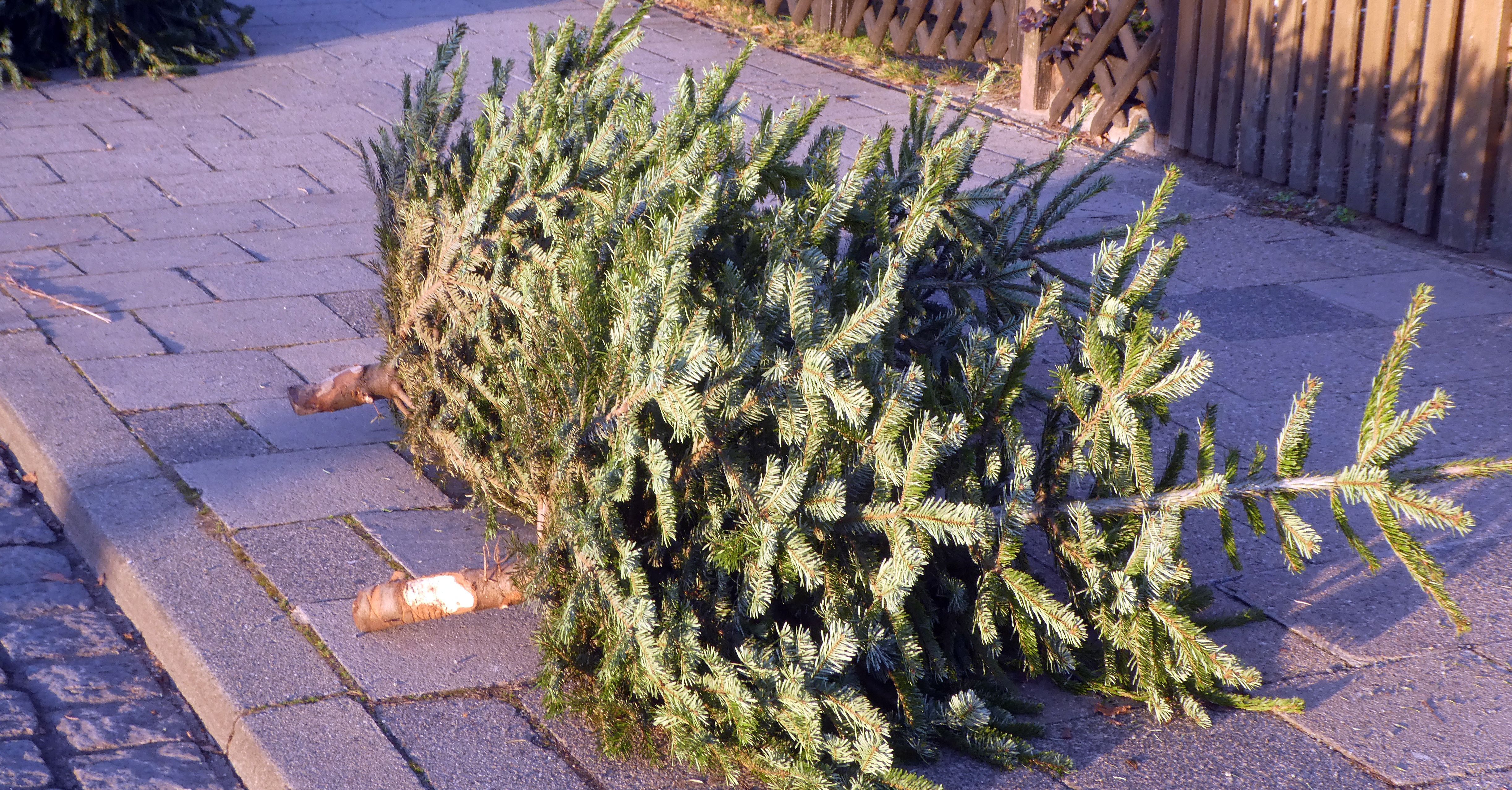 ©Michael Rogner - stock.adobe.com