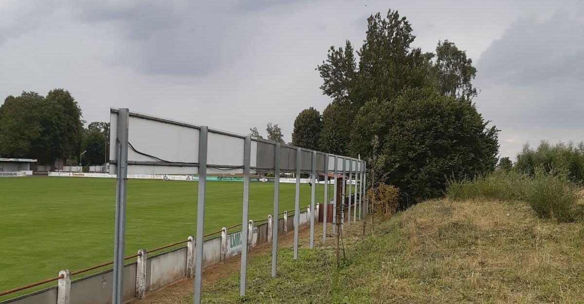 Wildhecke am Trotzbachstadions in Horn