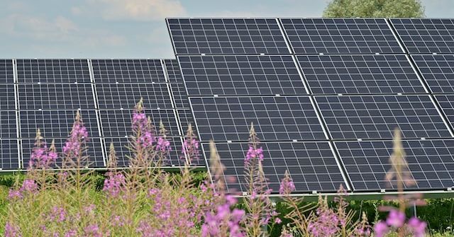 Stadt erhält 158.520 Euro Fördermittel für Photovoltaik-Dachanlage