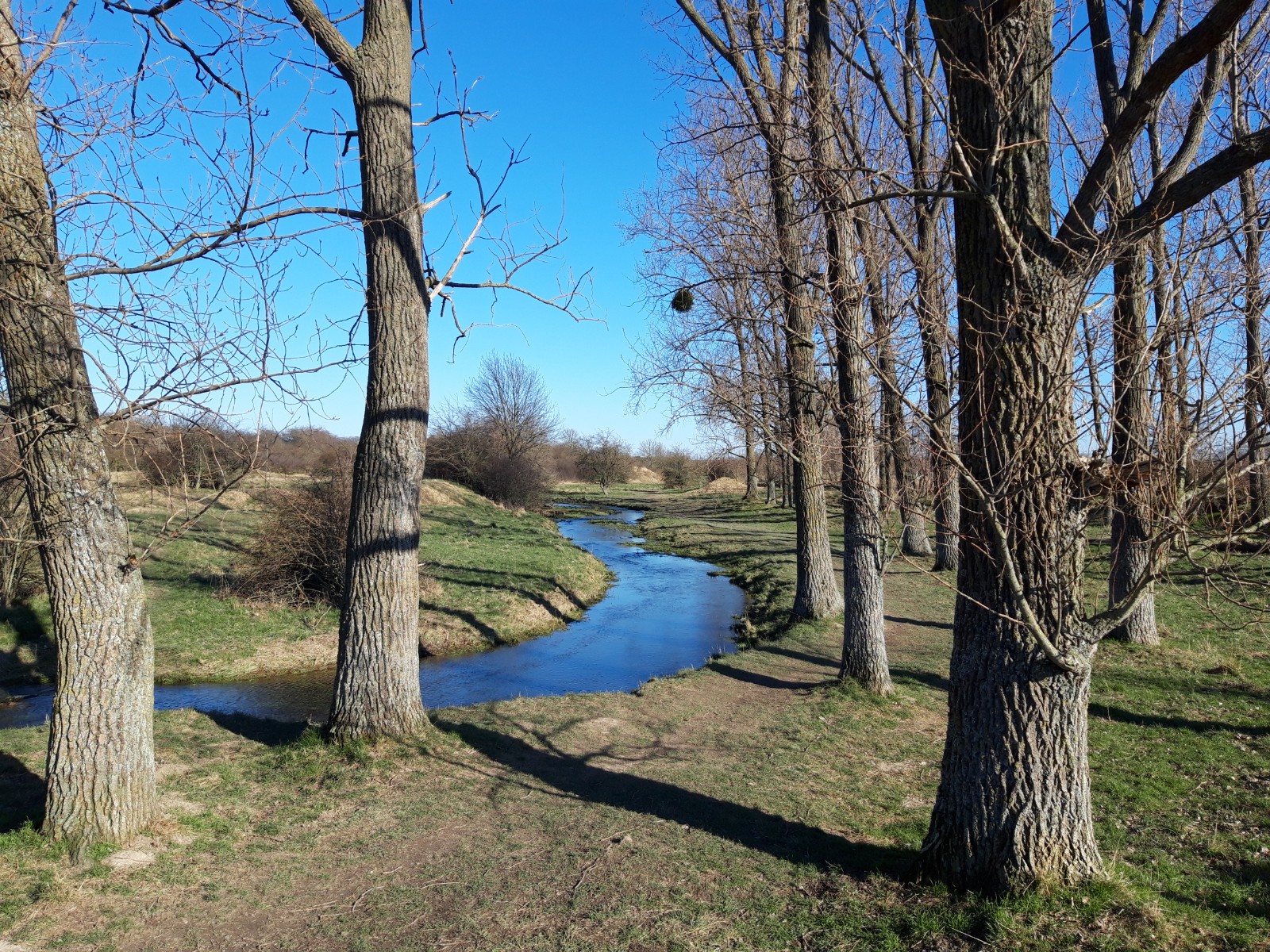 Neue Ausblicke ins Naturschutzgebiet Pöppelsche