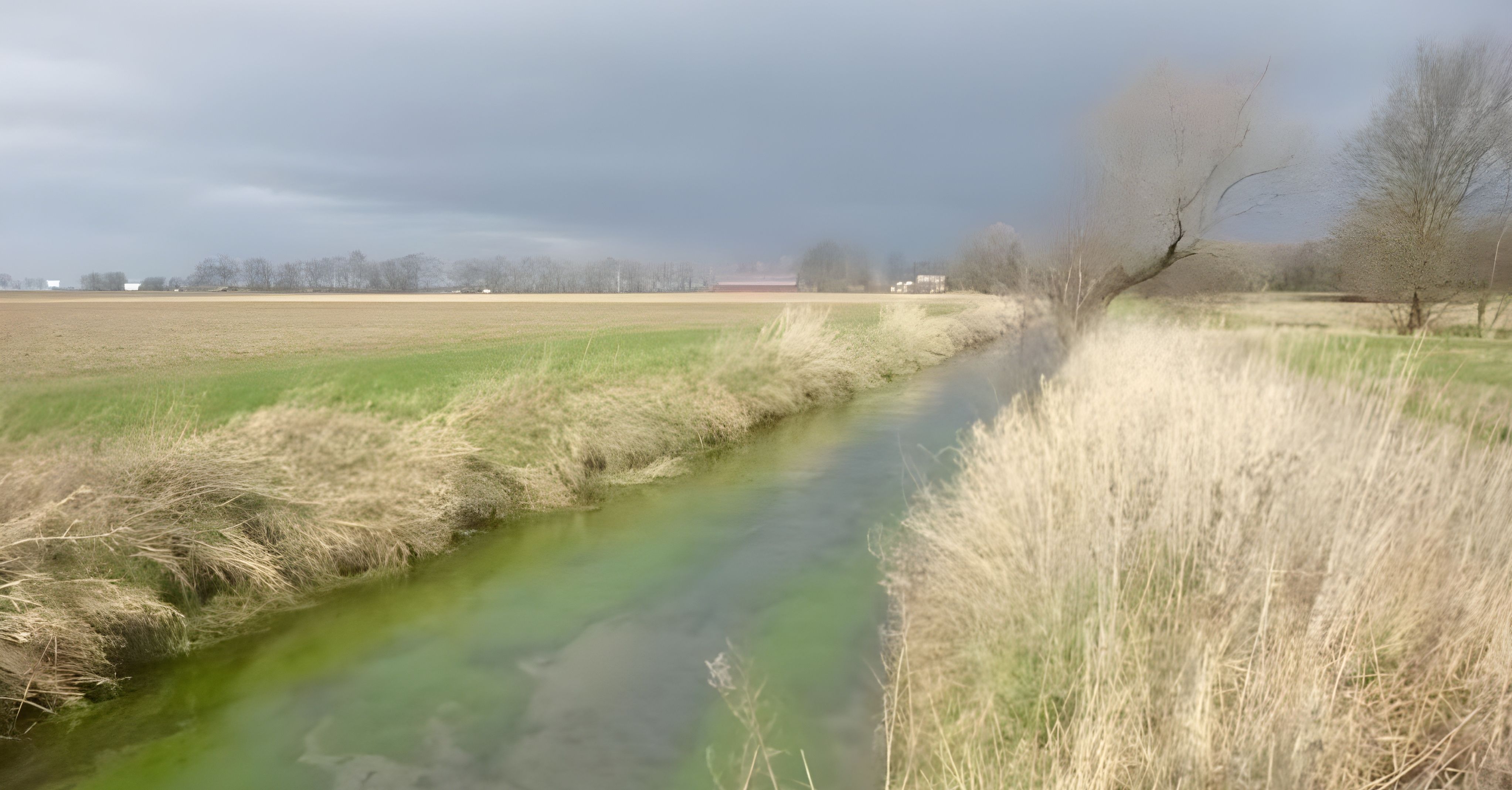 Verlauf des Mühlenbachs mit Gräsern an den Ufern